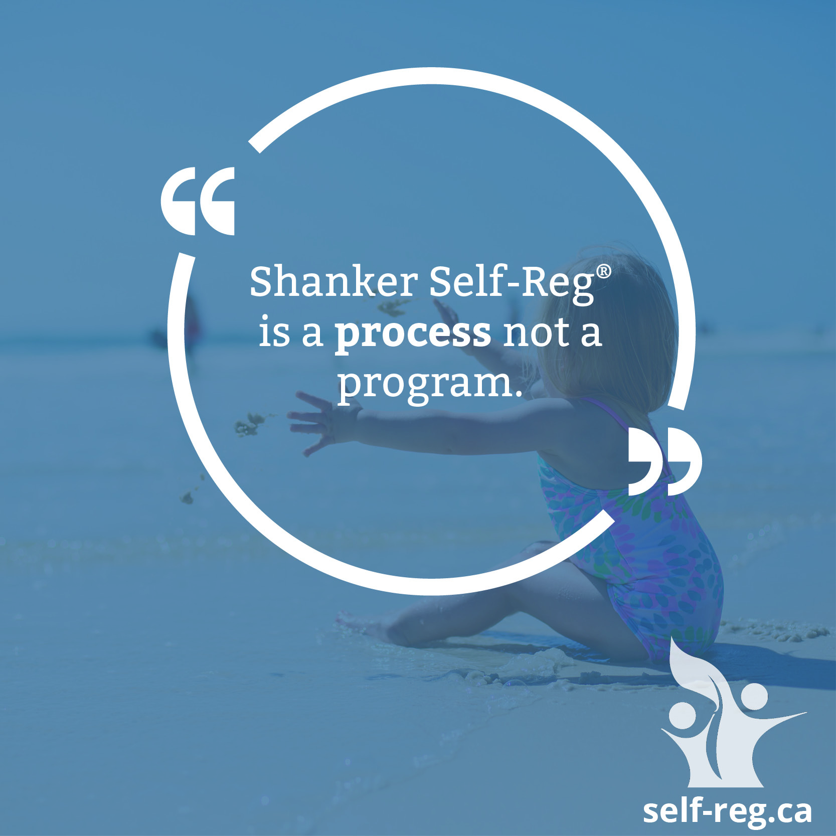 Self-reg quote - process
